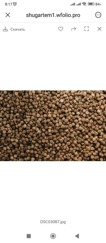 флипчарты 100 х 100 см настенные: Корма для форели и сазана.Изготовлен на современном — 3