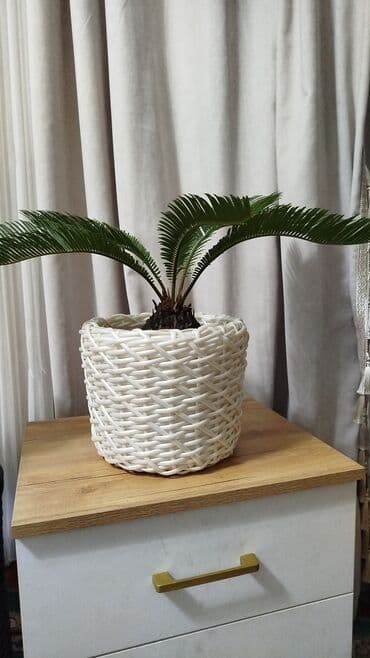 кой сойуш: Ротанг кашполор баасы 1200 кол м-н токулган күнгө сууга эч нерсе — 5