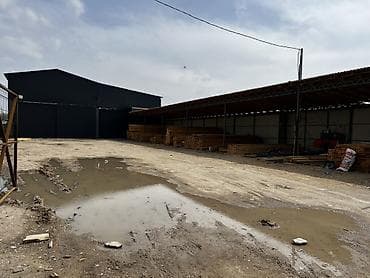 баран живой: Доски, Обрезные, Для строительства, Сосна — 1