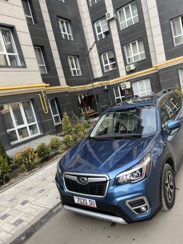 грязевые шины на тойота 4 раннер: Subaru Forester: 2019 г., 2.5 л, Вариатор, Бензиновая, Кроссовер — 10