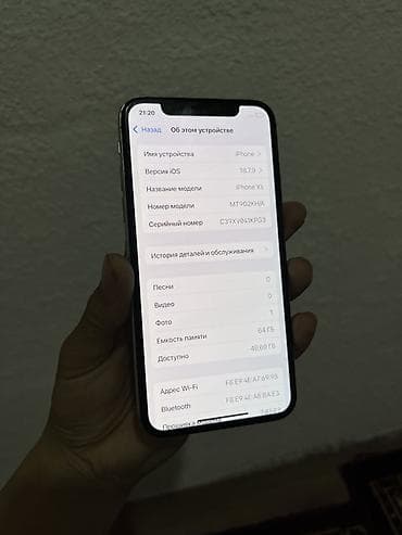 iphone 70: IPhone X, Серебристый — 7