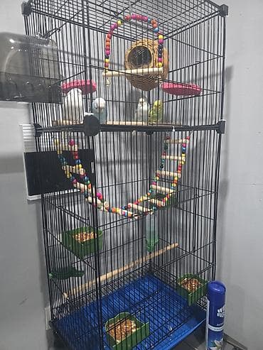 бутка домик: Большая многоуровневая клетка для волнистых попугаев и других мелких — 3