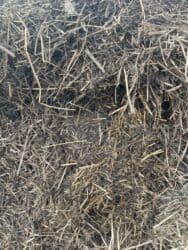 наполнитель для животных: Продаю, Сенаж Силос мелкого дробление, с зерноми грузим трактором — 7