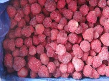 установка газового оборудования бишкек: Услуга шоковой морозильной камеры, заморозить и хранить, заморозка и — 8