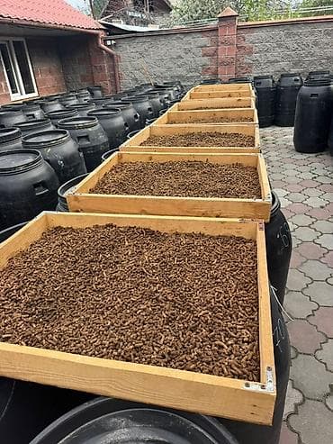 продажа кормов для сельскохозяйственных животных: Ферментированный корм для КРС и МРС. Фасовка 30 кг- мешок. Состав — 4