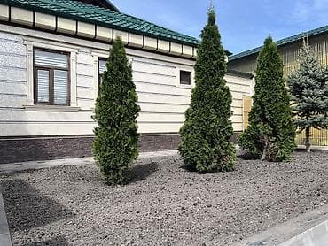 тамчылатып суугаруу: Автоматический полив для газонов и садов 🌿 Автополив орнотобуз! 🌿 — 6
