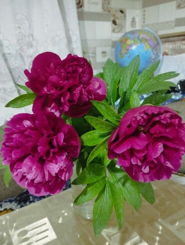 мерчендайзер без опыта работы: Оператор со знанием программы 1С, на производство — 1