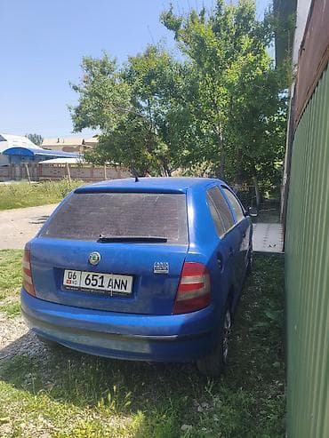 кызыл суу авто: Skoda Fabia: 2006 г., 1.2 л, Кол менен иштөөчү, Бензин, Седан — 1