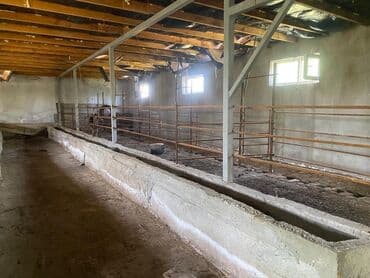 сдаю дом без хозяин: Сдается помещение 1500тыс КВ м имеются 3 сарая 1навес 1конюшня — 10