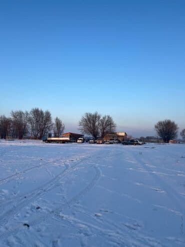 дом долгосрочная аренда: Для бизнеса, Красная книга — 7