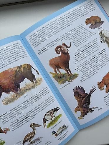 катя петя: Две книги за 500 
Детские книги — 2