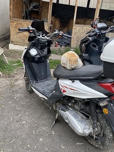 daf 95xf: Продаю самурай 150 куб. Пластика все на месте. Состояние хорошая — 2