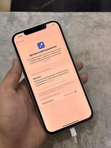 ipod pro: IPhone 12 Pro Max, 256 ГБ, Rose Gold, 100 % — 4