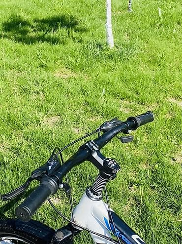 Балдар транспорту: Балдар үчүн велосипед, 2 дөңгөлөктүү, 6 - 9 жаш, Бала үчүн, Колдонулган — 6