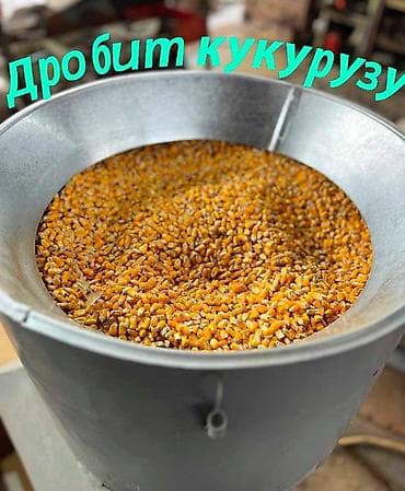 молочный машинка: Дробилки ☑️ Мульти дробилки 3 в одном 🌾 ☑️ Сенорезка ☑️ Зернорезка — 9