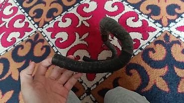 амортизатор для велосипеда: Fmfxtr 420mm под толстый вынос — 2