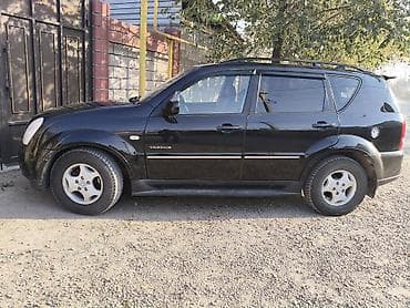 спойлео: Ssangyong Rexton: 2008 г., 2.7 л, Типтроник, Дизель, Внедорожник — 9