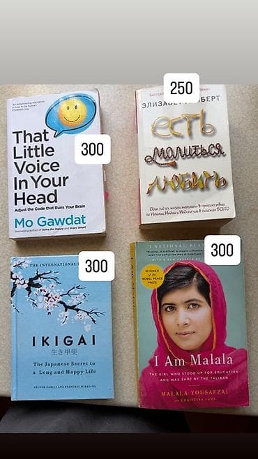 Китептер жана журналдар: Подборка книг на русском и английском языках. На фото представлены — 1