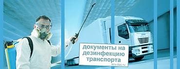 плесень: Дезинфекция, дезинсекция, | Клопы, Блохи, Тараканы, | Транспорт — 6