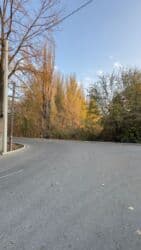 дом отдыха бишкек: 30 соток, Для бизнеса, Красная книга — 15