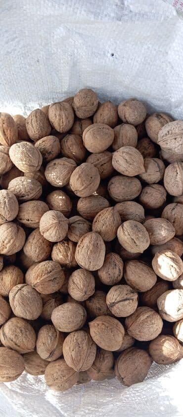 арахис соленый жаренный: Продам орехи средней величины, мелковатые, легко колятся ядра легко — 2