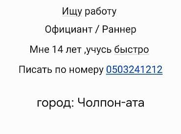 Официант. Без опыта