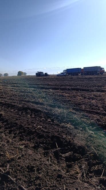 пагрузчики: Заказать Камаз, Доставка щебня, угля, песка, чернозема, отсев, 15 тонн — 8