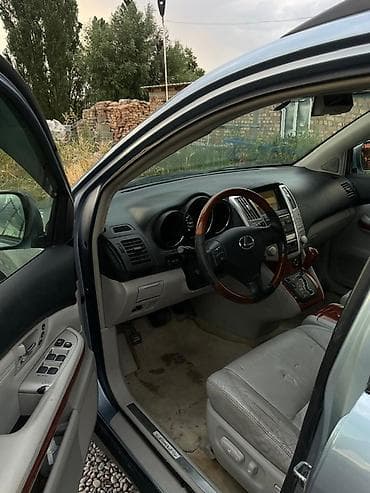 Lexus RX: 2004 г., 3.3 л, Автомат, Бензин, Кроссовер — 9