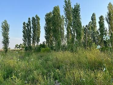 green hill: 300 соток, Договор купли-продажи — 5