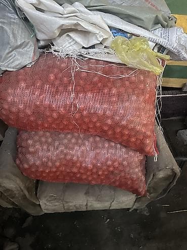 продажа мёда: Грецкий орех — 1