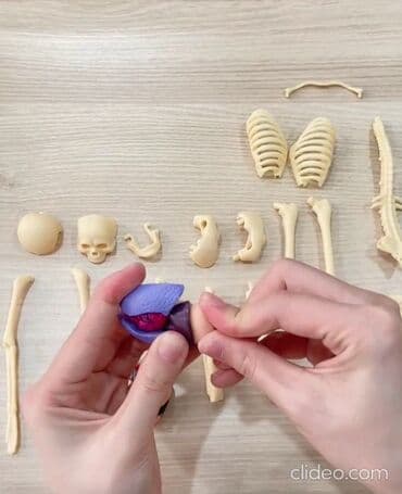 домик для кукол: Анатомическая модель для детей " Строение человека". Внутренние — 2