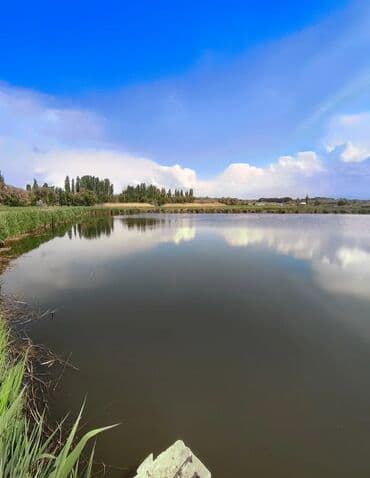 600 соток, Для бизнеса, Красная книга