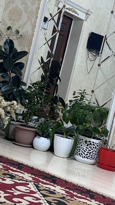 продажа домов орловка: 400 м², 6 комнат, Теплый пол, Бронированные двери, Евроремонт — 14