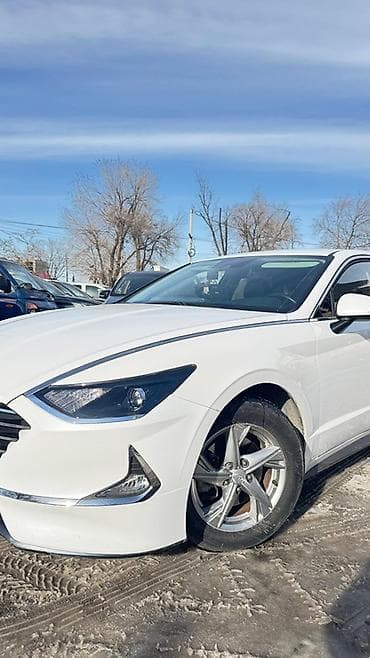 byd 5: Hyundai Sonata: 2019 г., 2 л, Автомат, Газ, Седан — 2