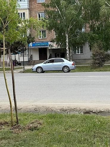 Toyota: Toyota Corolla: 2006 г., 1.6 л, Механика, Бензин, Седан — 1