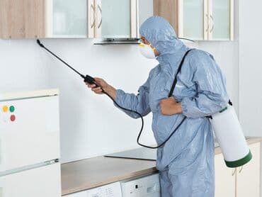 дезинфекция дома от клопов ош: Дезинфекция, дезинсекция, | Мыши и крысы, Клопы, Тараканы, | Подвал, погреб, Офисы, Квартиры — 2