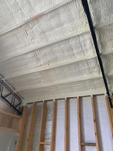 услуги няни на дому: Утепление домов напыляемым пенополиуретаном (ППУ) - Профессиональное — 3