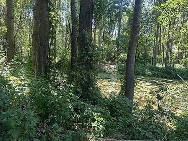 Кыймылсыз мүлк: 170 соток, Кызыл китеп — 9