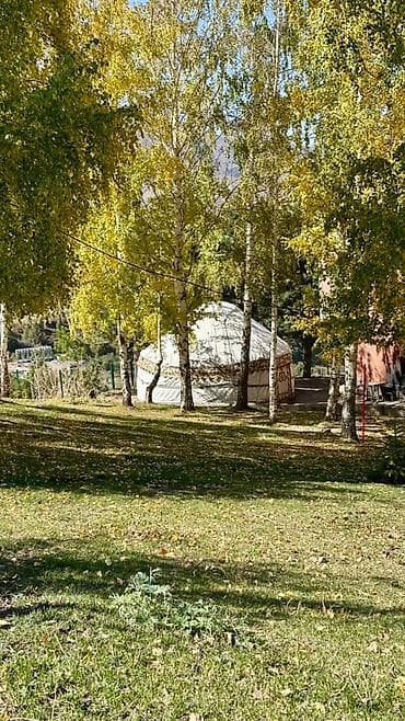 бмс плата: Кашка-Сууда боз үй ижарага берилет🌲 Достор, Кашка-Суунун гүлдөп — 2