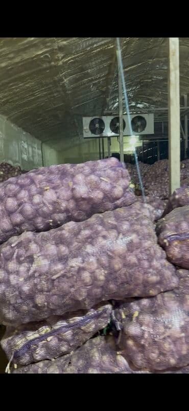 чеснок в большом количестве: Чеснок Оптом, Самовывоз, Бесплатная доставка, Платная доставка — 6