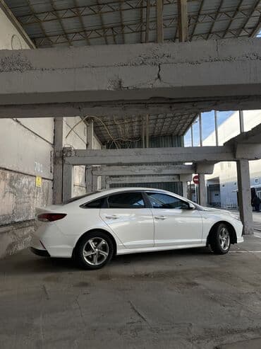 byd yuan plus цена в бишкеке: Hyundai Sonata: 2019 г., 2 л, Автомат, Газ, Седан — 3
