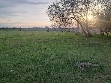 гектар поля: 20 соток, Для сельского хозяйства, Тех паспорт — 2