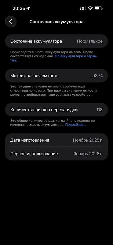 iphone cs: IPhone 17 Pro Max, Б/у, 256 ГБ, Серебристый, Наушники, Зарядное устройство, Защитное стекло, 98 % — 2