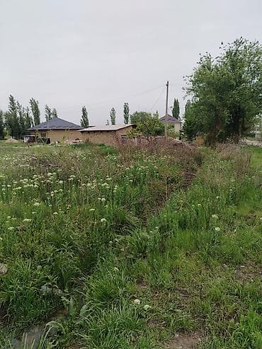 уч: 10 соток, Курулуш, Кызыл китеп — 2