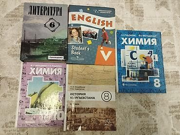 local guide program: Всё по 250 сом — 1