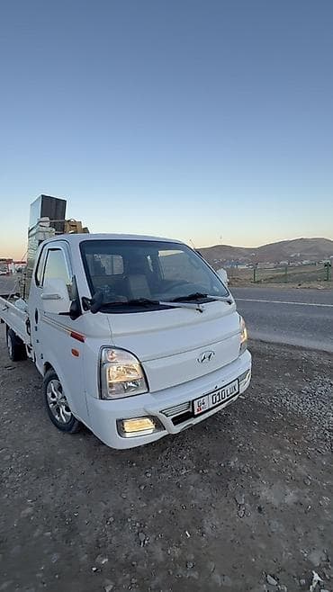 крыло на 210: Легкий грузовик, Hyundai, Стандарт — 2