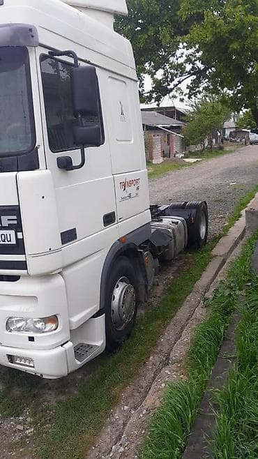 дакс драйв: Тягач, DAF, 2002 г., Без прицепа — 2