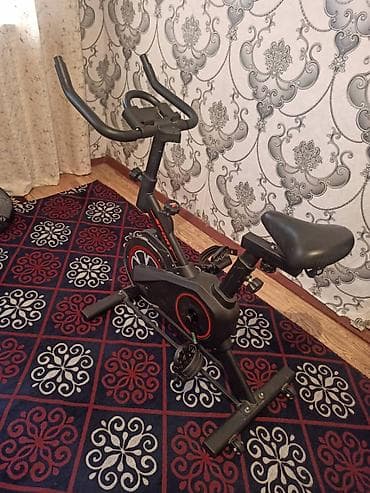 Велотренажёр (спин-байк) для дома - Тип: механический/магнитный