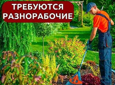 работа тракторист: Требуется Разнорабочий, Оплата: Дважды в месяц, Менее года опыта — 1