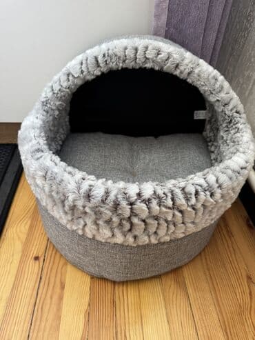 экзотическая кошка цена: Скотиш Страйт (Шотландская прямоухая), 1 год, Девочка, Лиловый, Приучена к лотку, Проглистована, С документами — 4